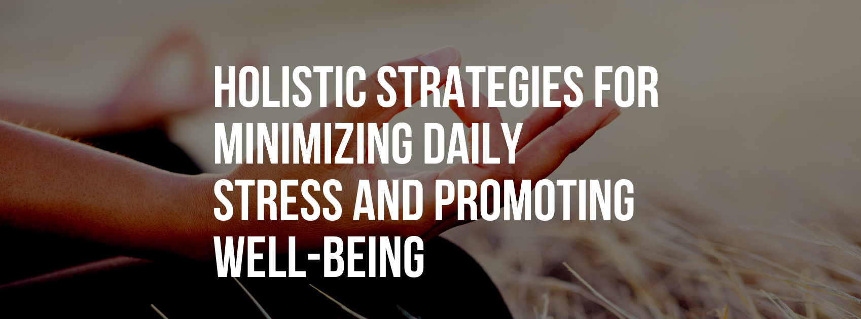Holistic Strategies for Minimizing Daily Stress and Promoting Well-Being