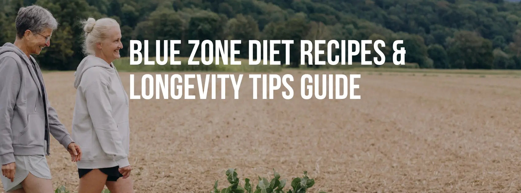Blue Zone Diet Recipes & Longevity Tips Guide