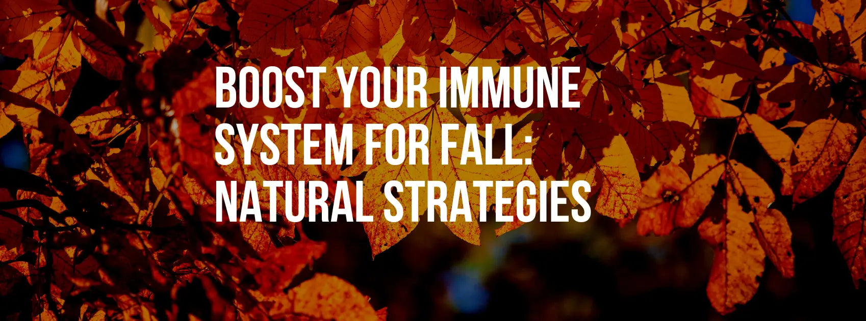 Boost Your Immune System for Fall: Effective Natural Strategies
