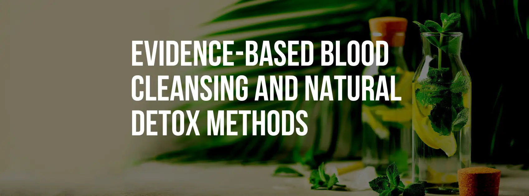 Evidence-Based Blood Cleansing and Natural Detox Methods for Holistic Wellness