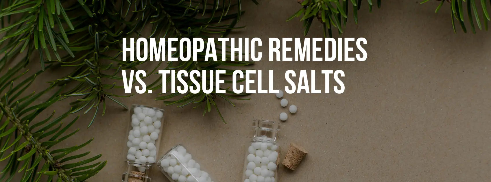 Homeopathic Remedies vs. Tissue Cell Salts: Differences, Benefits, and When to Use Each