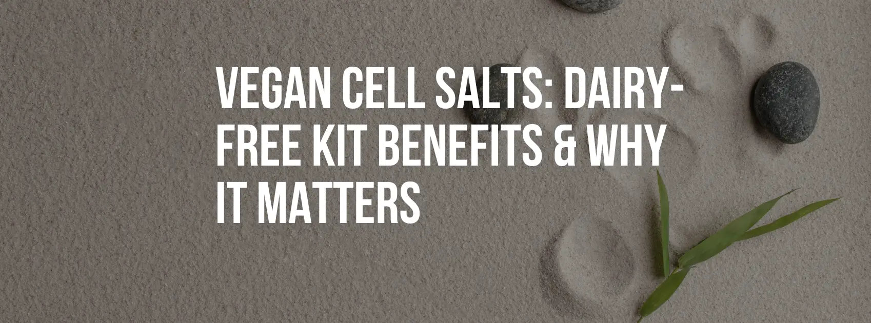 Vegan Cell Salts: Dairy-Free Kit Benefits & Why It Matters