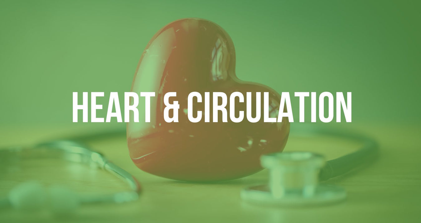 HEART & CIRCULATION