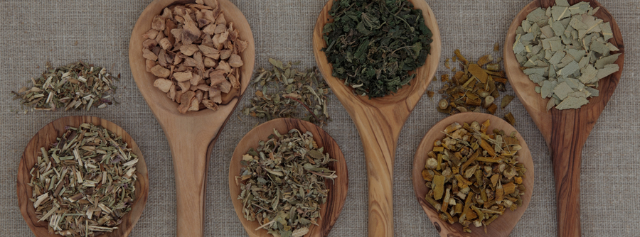 Herbs That Help Digestion and Nutrient Absorption