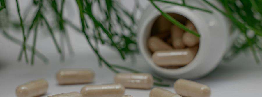 Natural Solutions for Managing Worms and Parasites