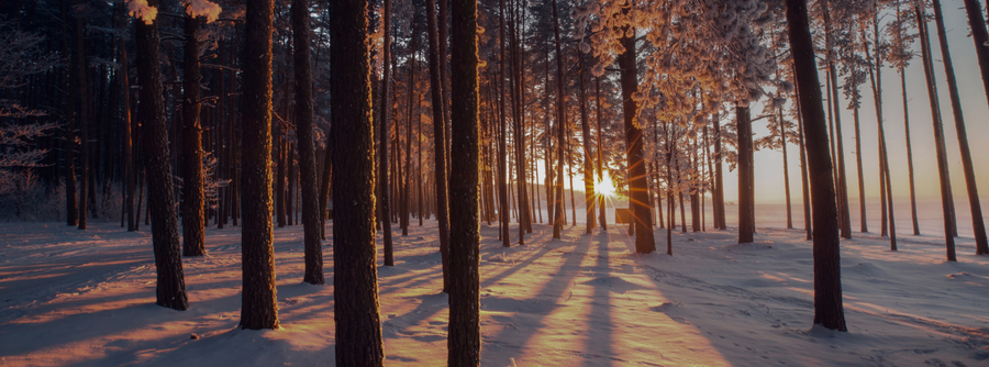 Homeopathic Remedies for Winter Blues