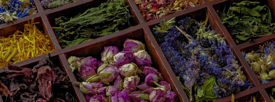 Top 12 Healthy Teas to Drink and Their Benefits