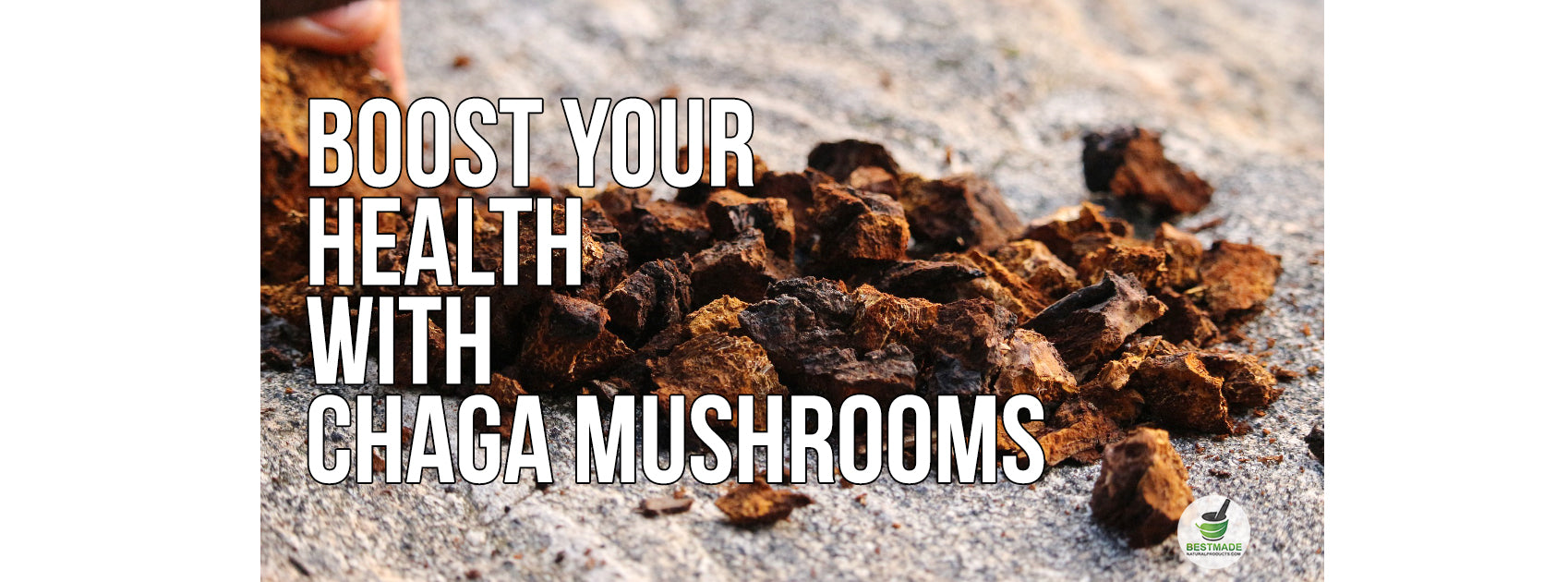 Boost Your Health With Using Chaga Mushrooms