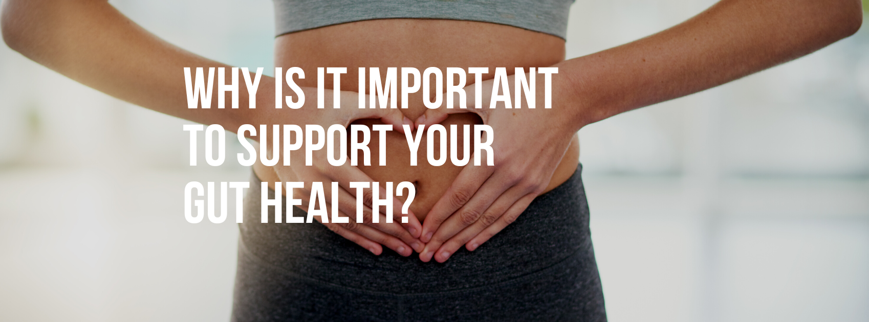 Why Is it Important to Support Your Gut Health?