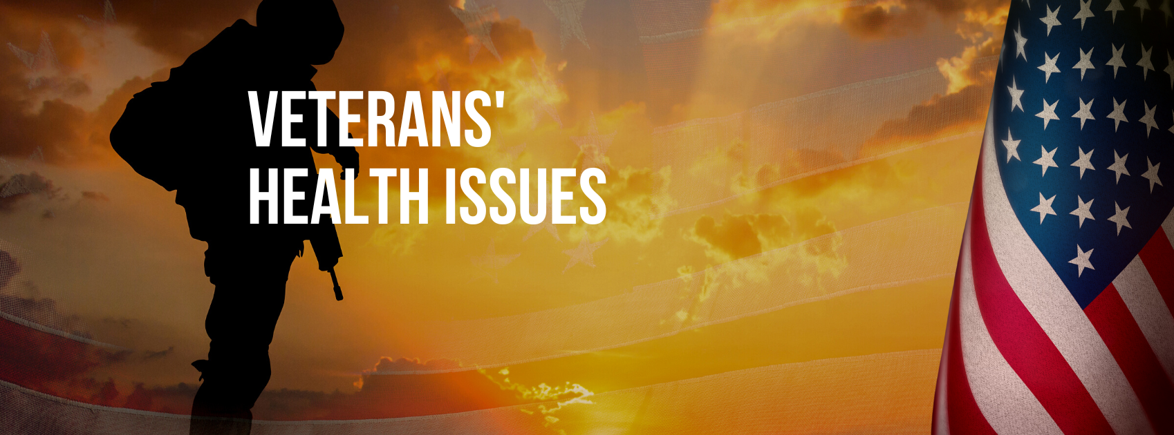 Learn about Common Veterans' Health Issues