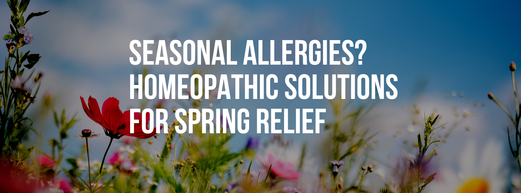 Seasonal Allergies? Homeopathic Solutions for Spring Relief