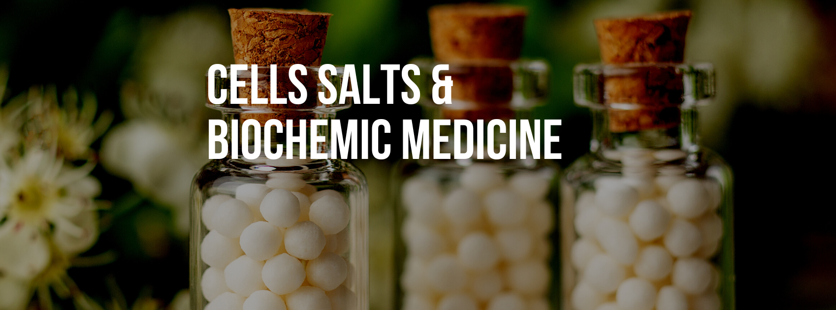 Cells salts & Biochemic Medicine