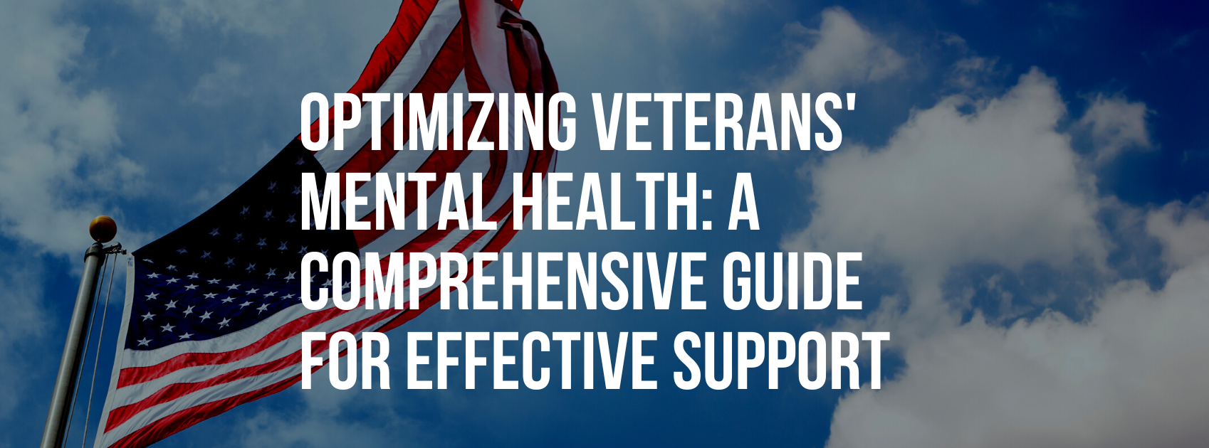 Optimizing Veterans' Mental Health: A Comprehensive Guide for Effective Support
