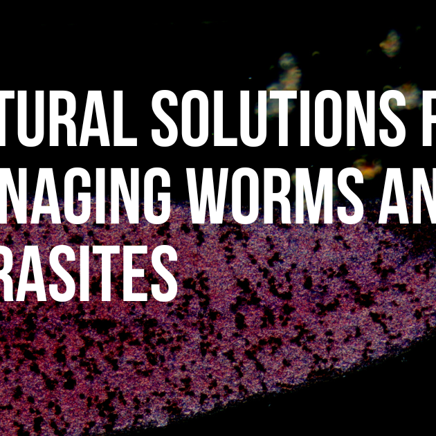 Natural Solutions for Managing Worms and Parasites