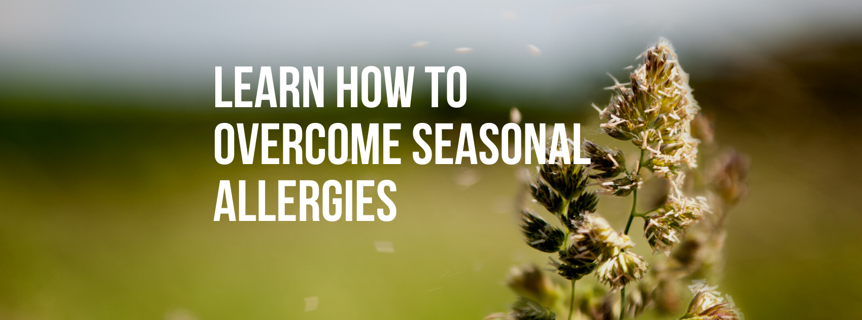 Learn How to Overcome Seasonal Allergies