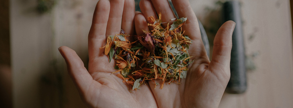 Top 10 Healing Herbs to Keep at Home