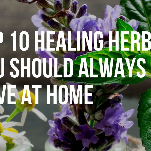 Unlocking Nature's Potency: The Top 10 Healing Herbs Every Home Needs