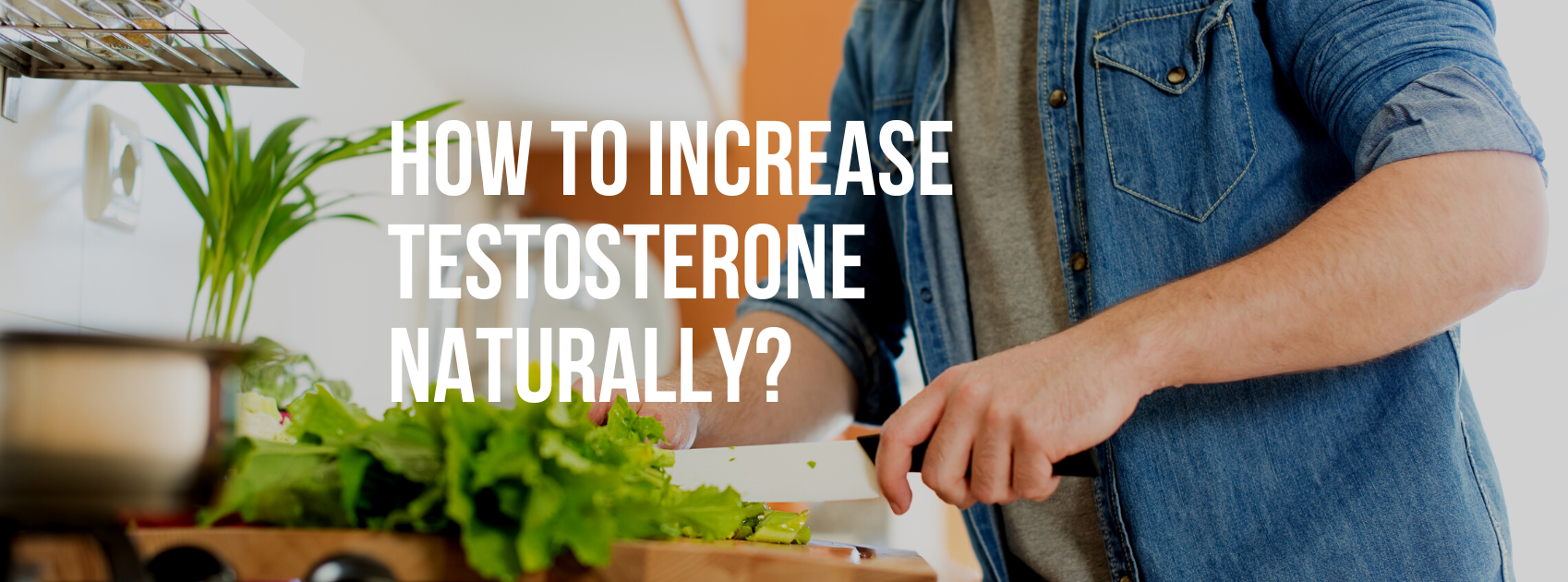 How to Increase Testosterone Naturally in Men?