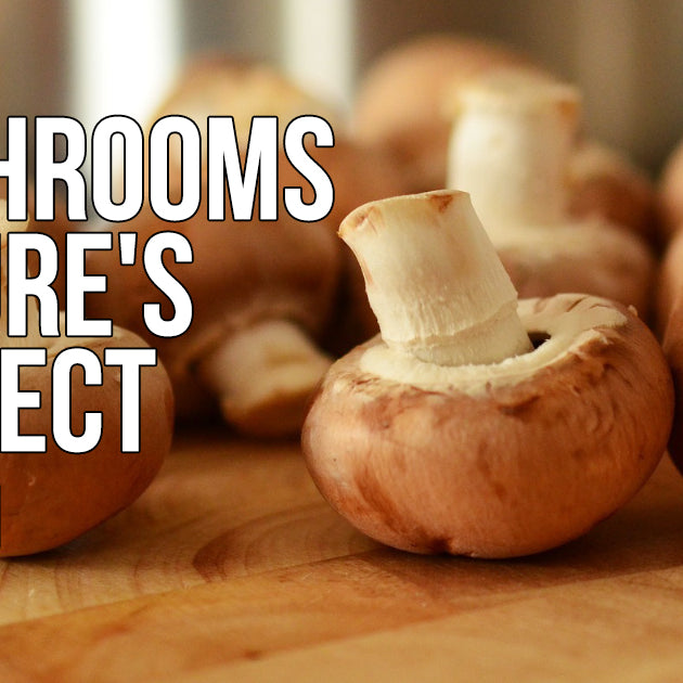Nature's Perfect Food and Health Benefits: Mushrooms