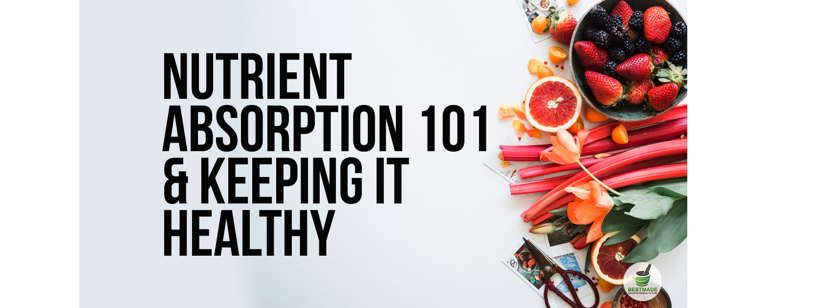 Nutrient  Absorption 101  & Keeping It Healthy