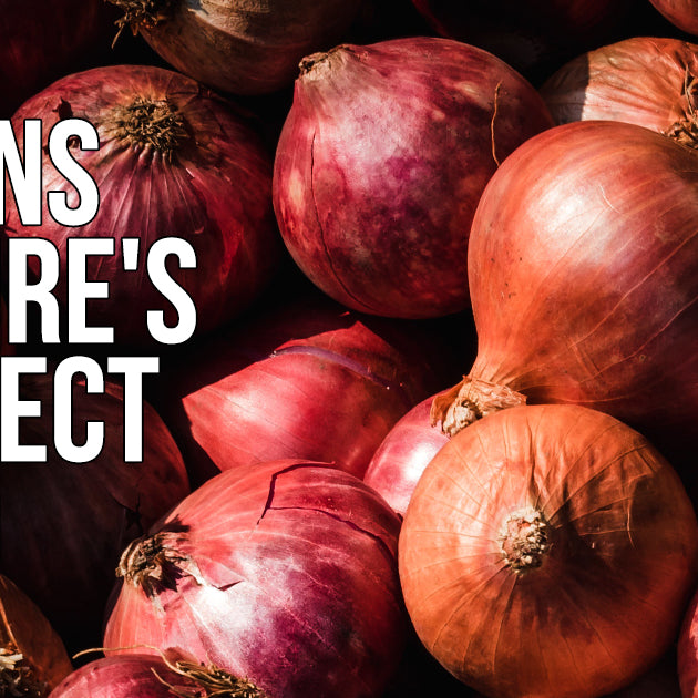 Nature's Perfect Food and Health Benefits: Onions