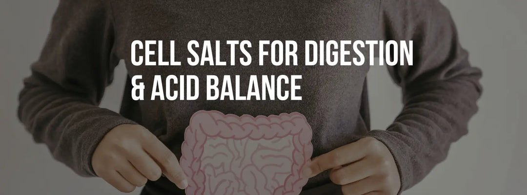 Cell Salts for Digestion & Acid Balance