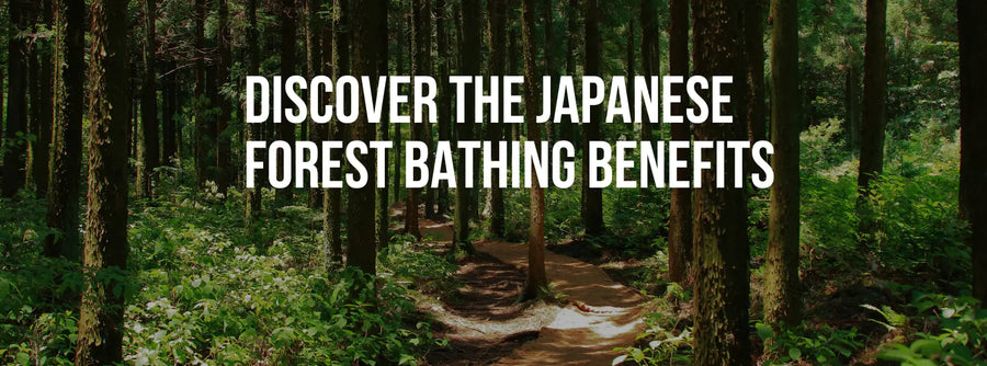 Discover the Japanese Forest Bathing Benefits