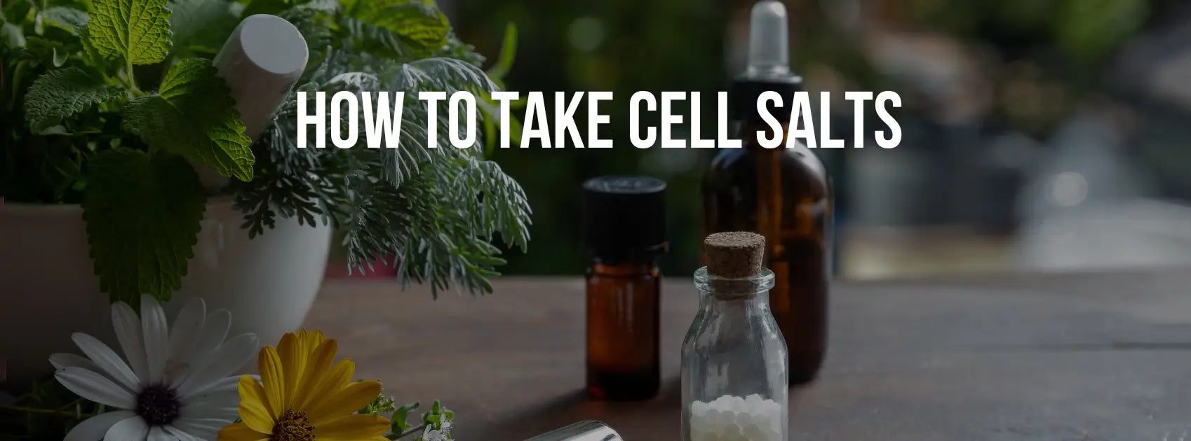 How to Take Cell Salts: A Guide to Pellets, Drops & Dosages