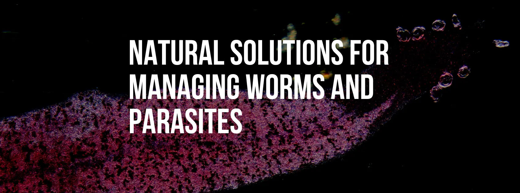 Natural Solutions for Managing Worms and Parasites