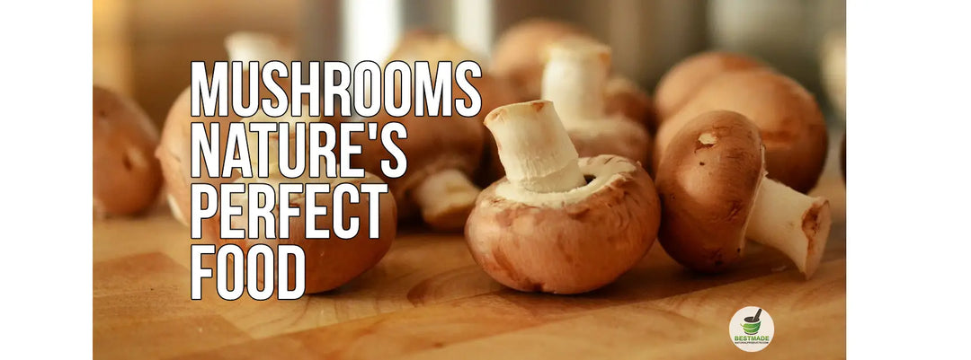 Nature’s Perfect Food and Health Benefits: Mushrooms