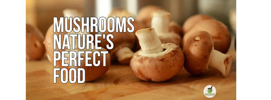 Comida Perfeita da Natureza: Cogumelos