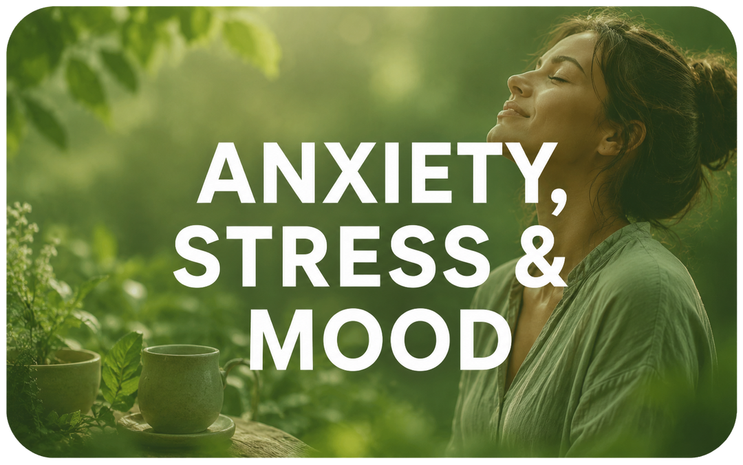 Anxiety Stress and Mood Support