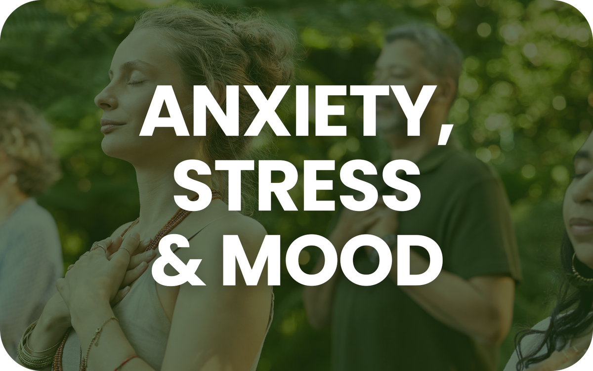 Anxiety, Stress and Mood Support