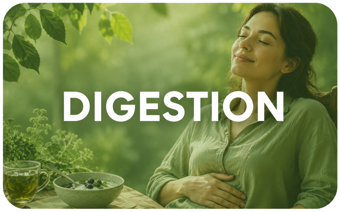 DIGESTION (digestion nausea constipation& diarrhea)