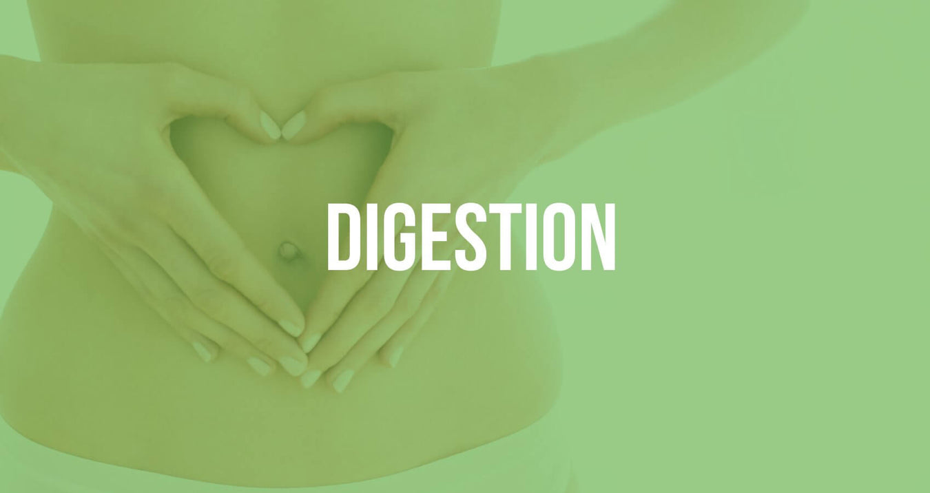 DIGESTION (digestion, nausea, constipation& diarrhea)