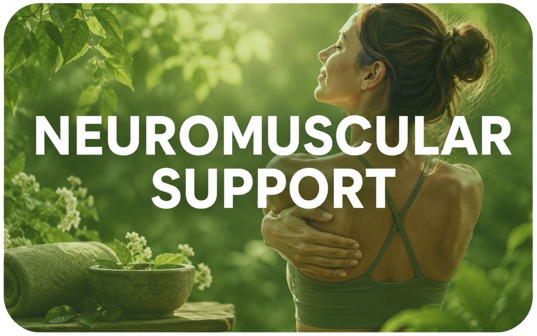 NEUROMUSCULAR SUPPORT