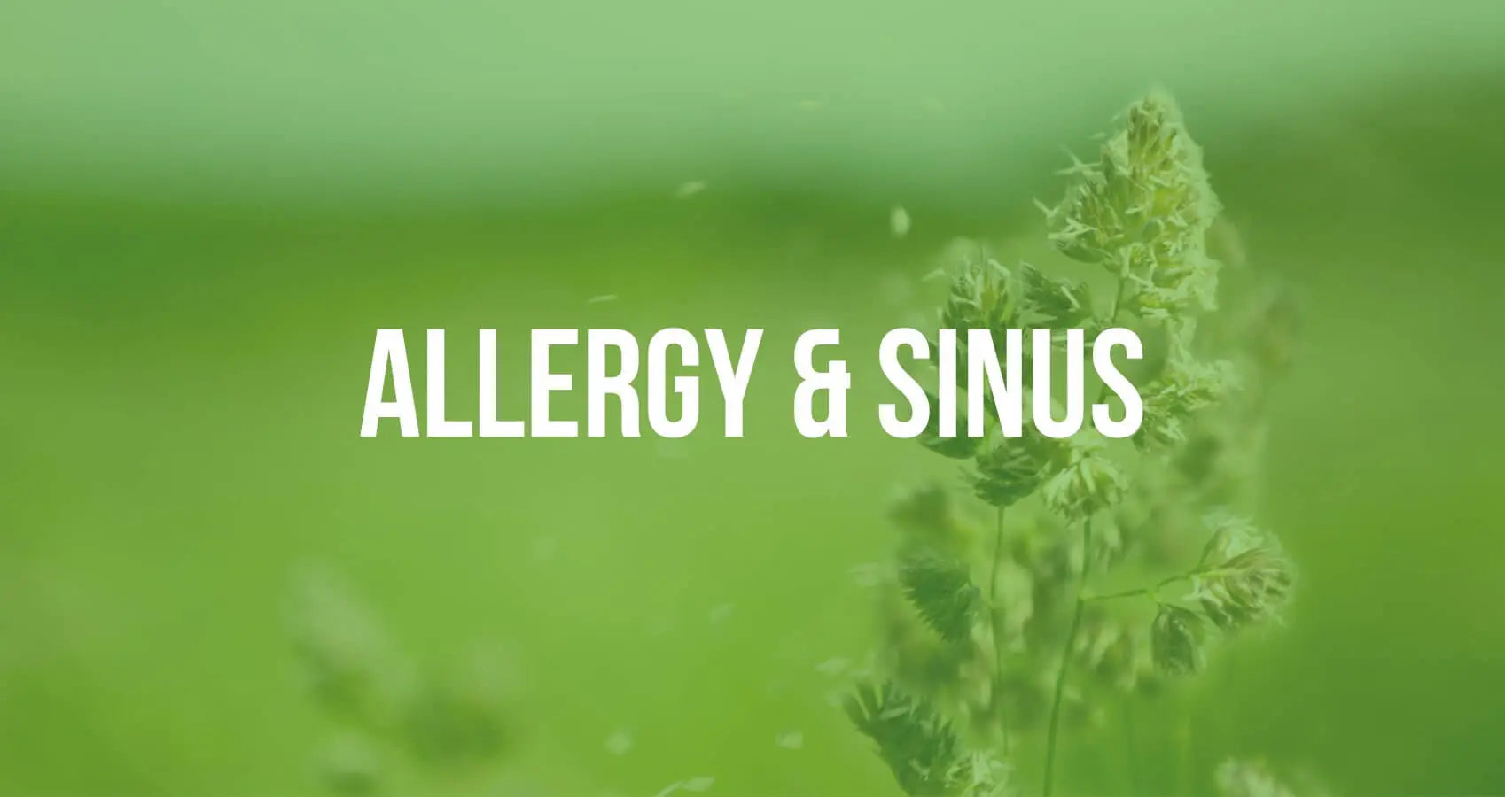 ALLERGY & SINUS