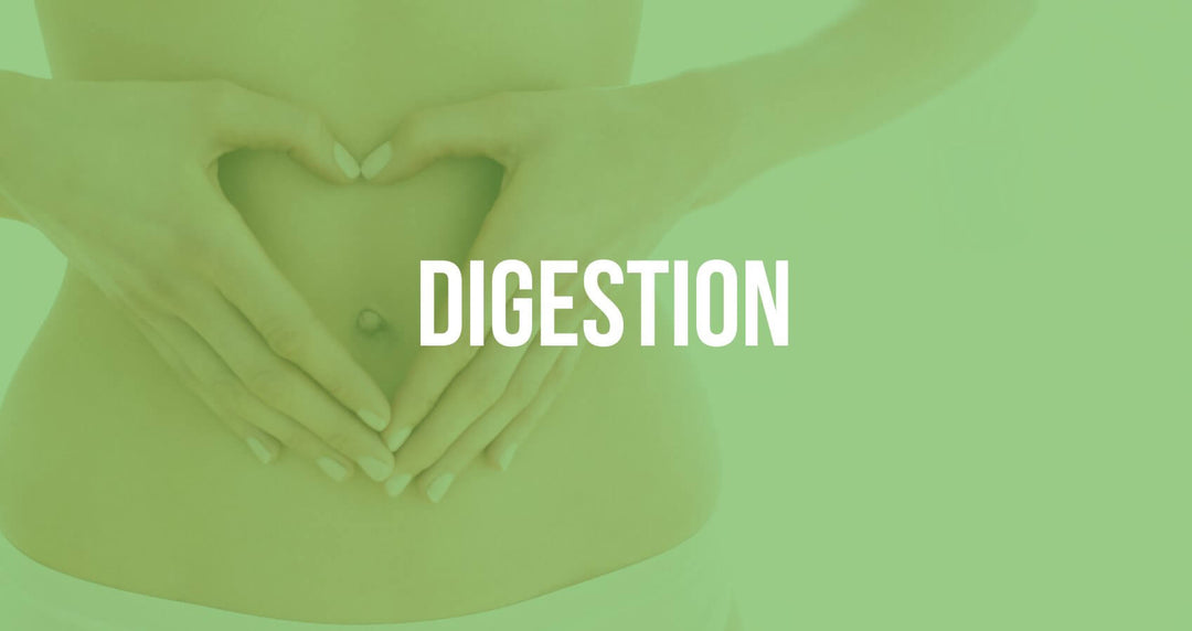 DIGESTION (digestion nausea constipation& diarrhea)