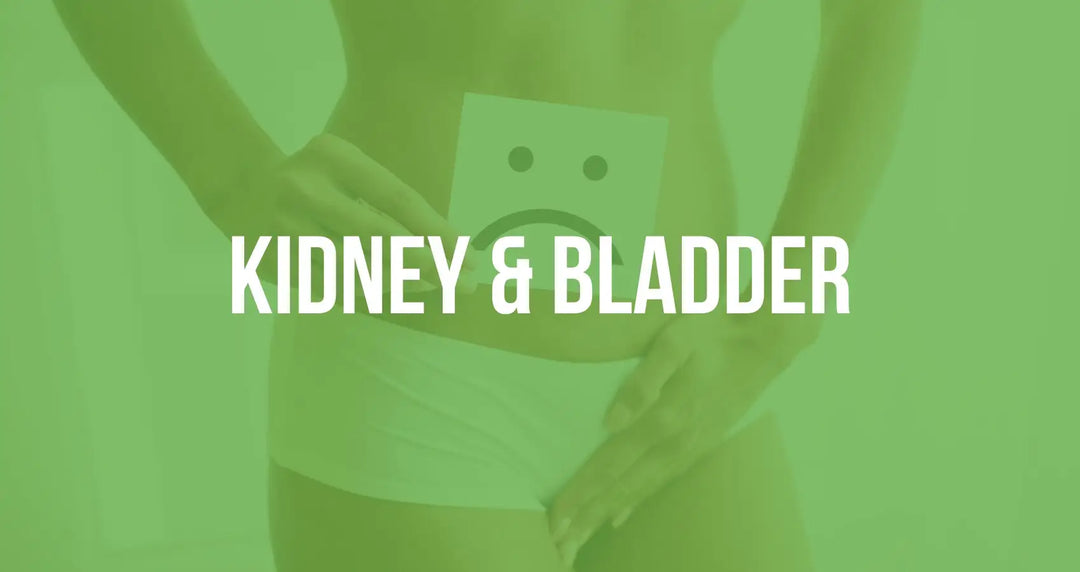 KIDNEY & BLADDER