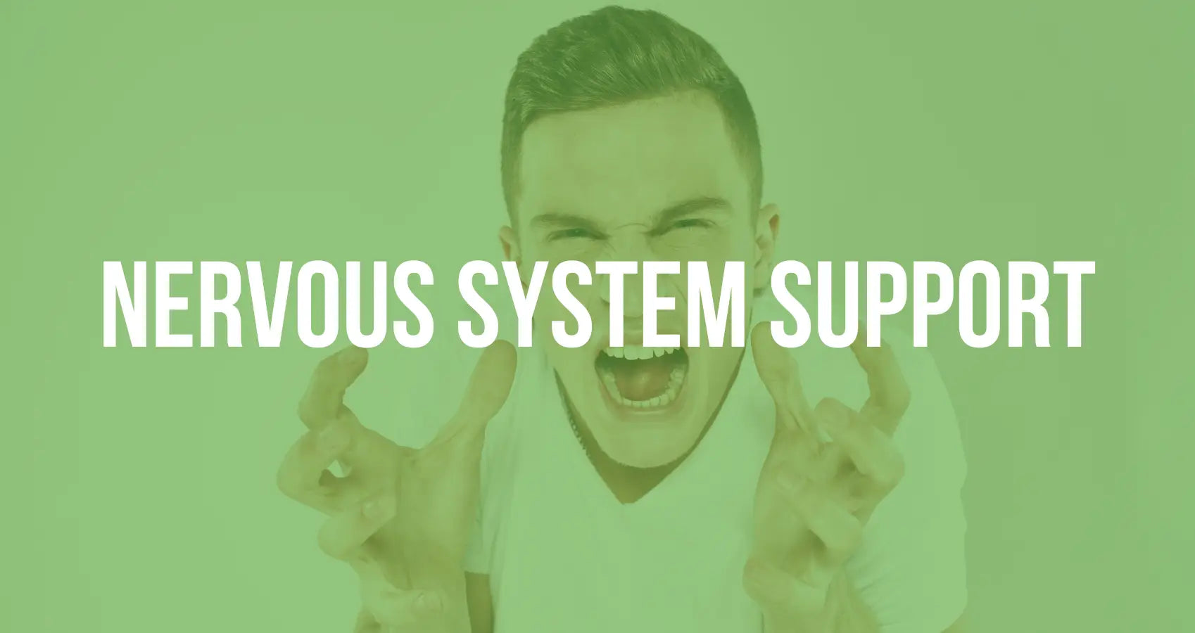 Overall Nervous System Support