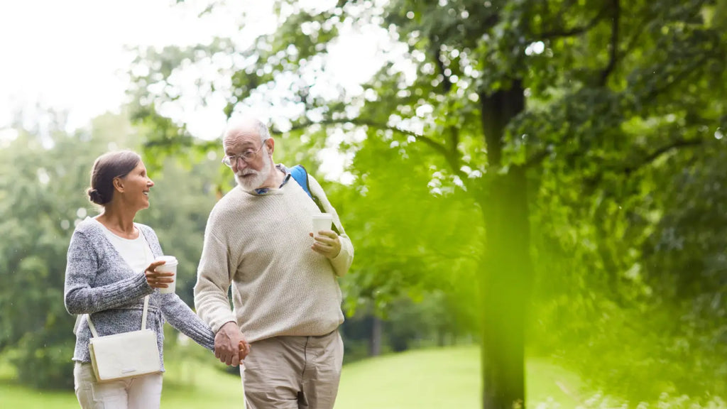 Old couple taking a walk in a park