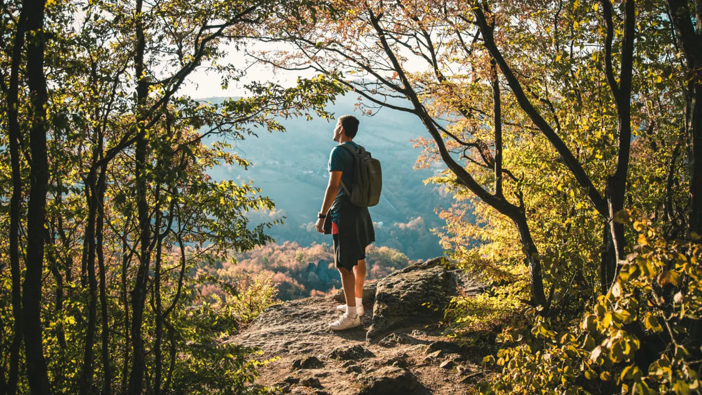 Man hiking in the forest