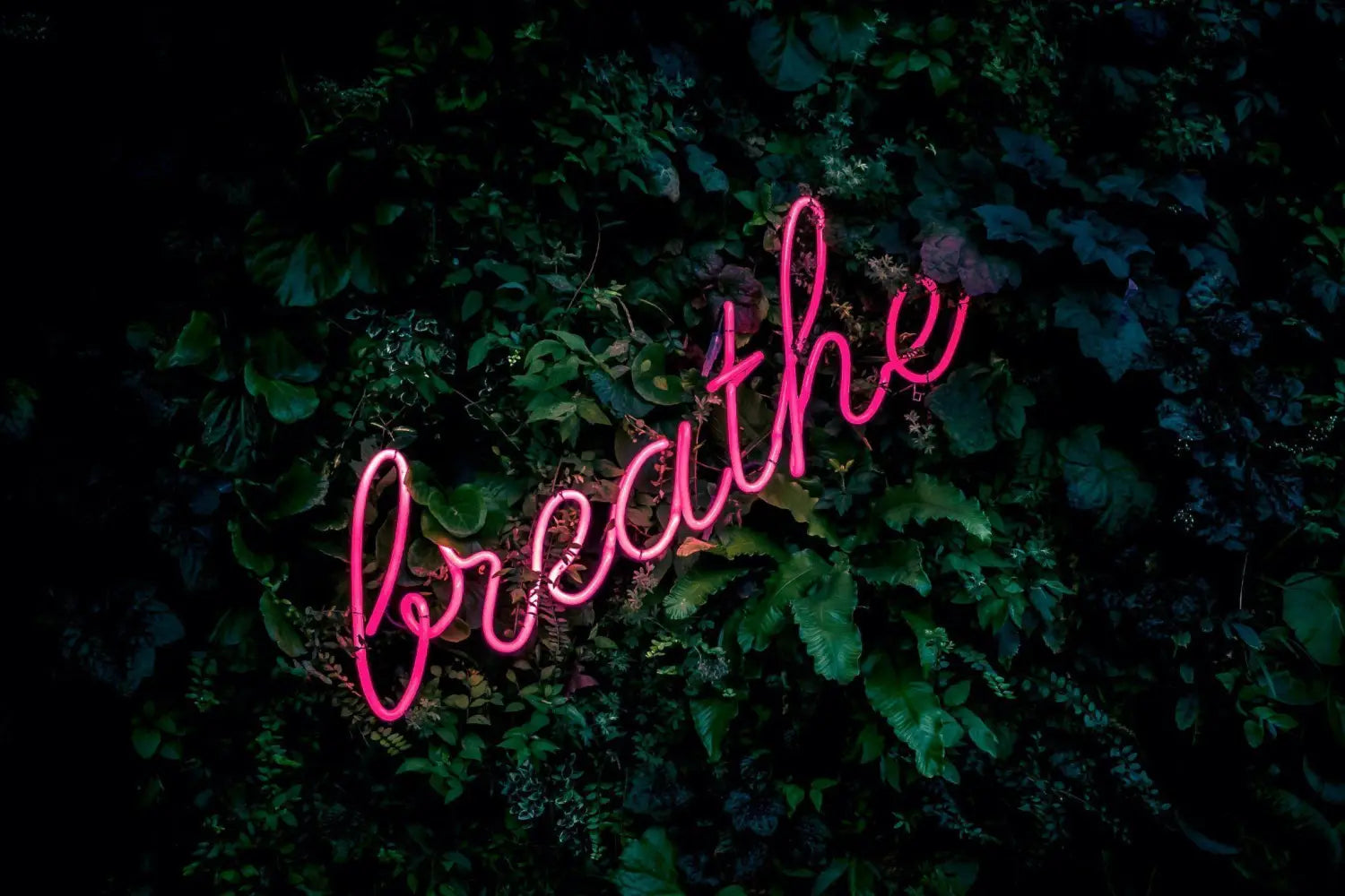 Breathe.