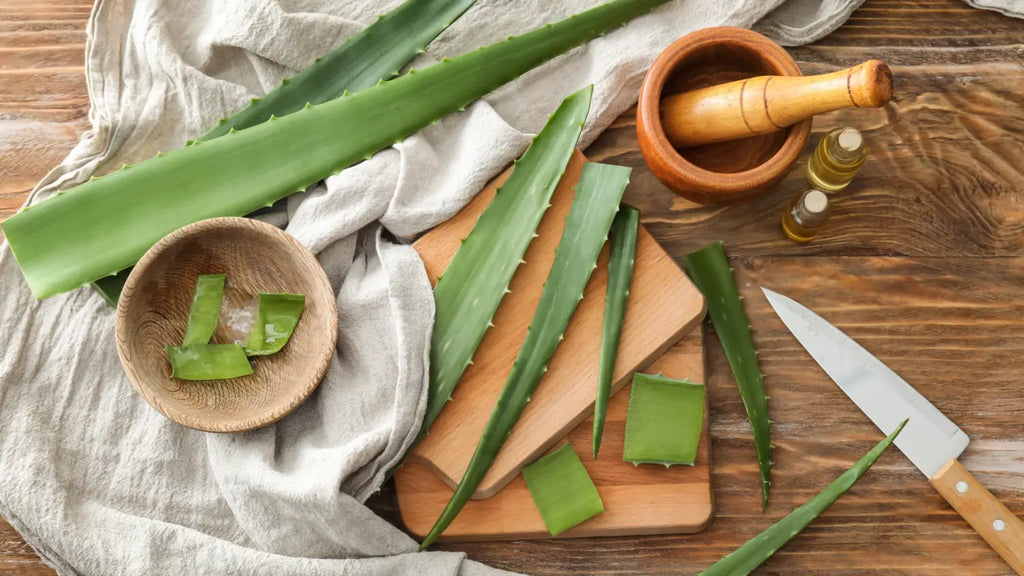 Aloe vera, essential oils, and tools