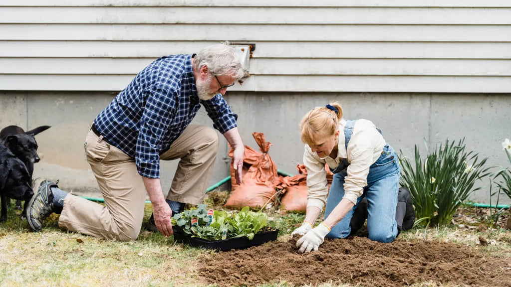 Senior couple gardening