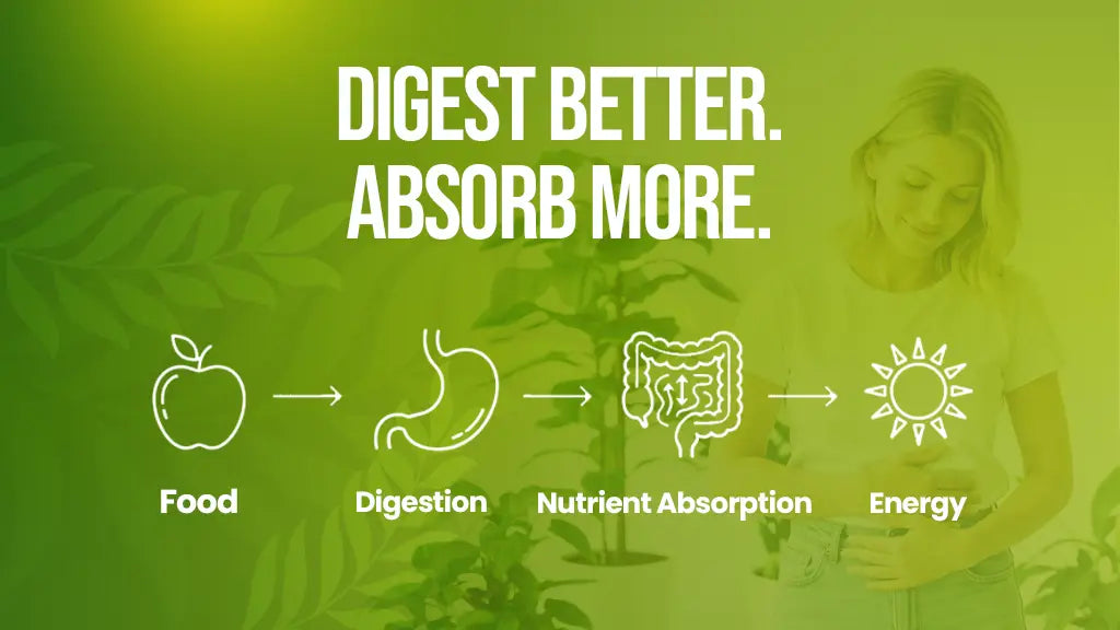 Digest better, absorb more