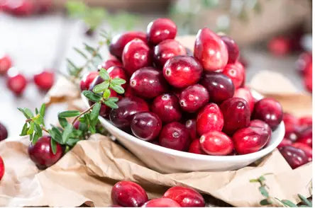 Bowl filled with cranberries