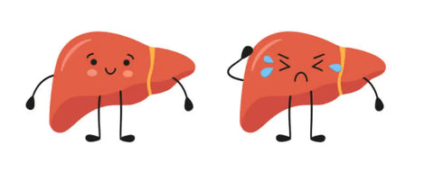 Graphic representation of a happy liver and a sad liver