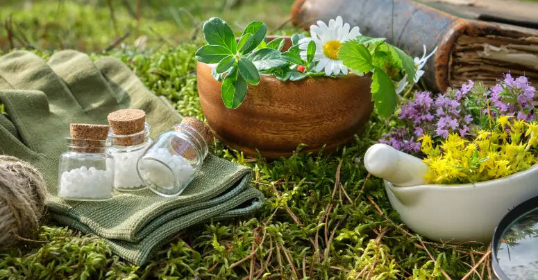 Natural remedies, medicinal herbs and homeopathy