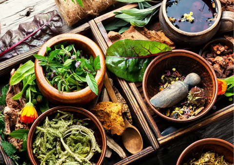 Healing medicinal herbs.